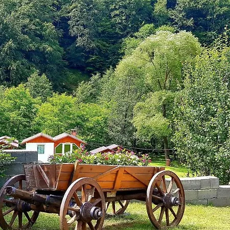 Korondi Pisztrangos